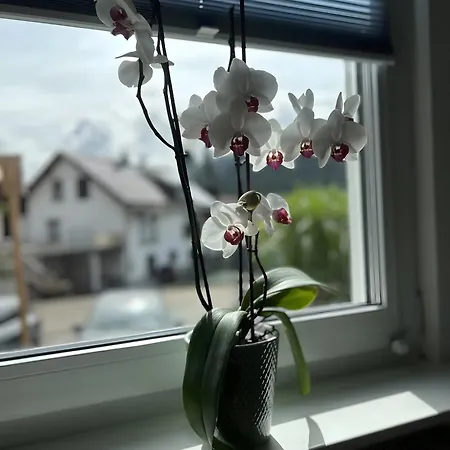 Ferienwohnung In アルピルスバッハ